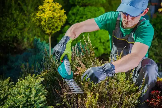 landscaping services Solvay